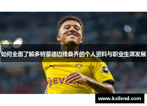 如何全面了解多特蒙德边锋桑乔的个人资料与职业生涯发展